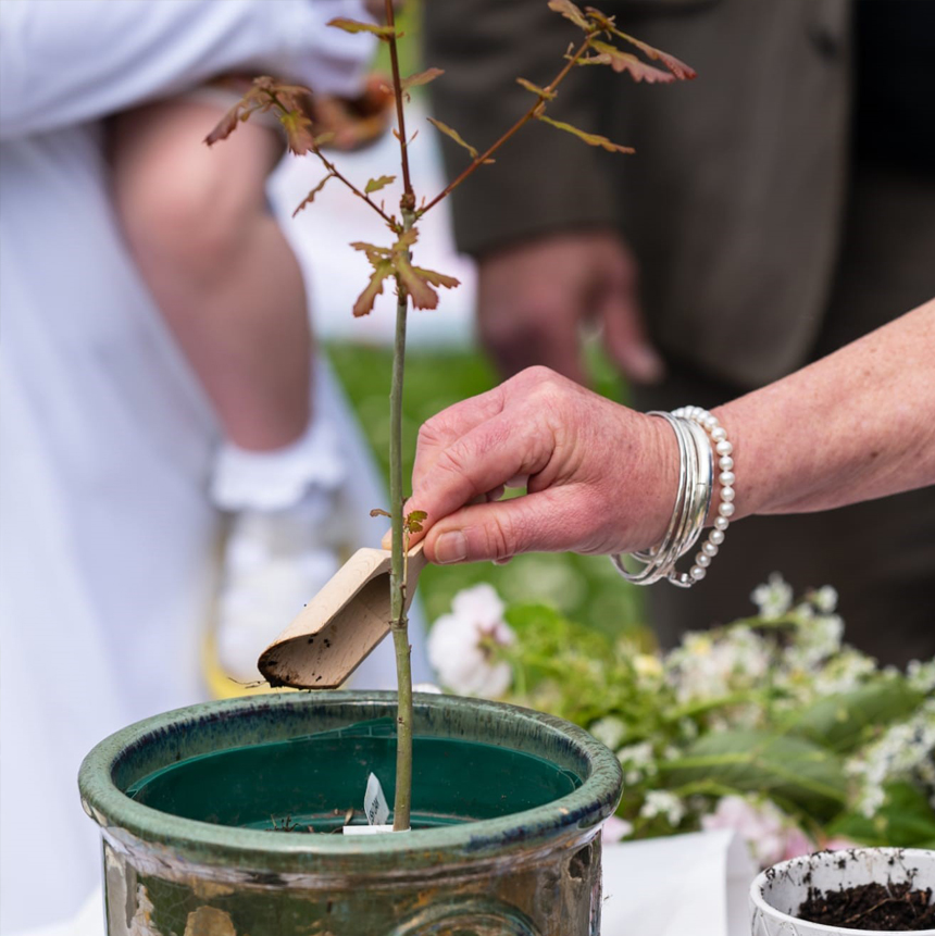 Bespoke rituals can be included in your personal wedding ceremony, including tree planting and handfasting ceremonies.